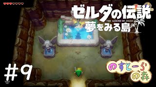 【2人実況】白昼にゼルダの伝説【夢をみる島】＃９