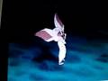 anastasia fightin bat 