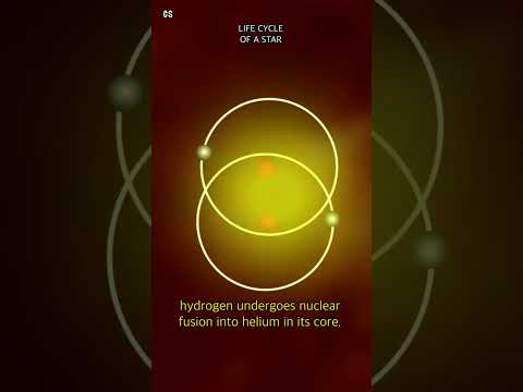 Life Cycle of a Star - From Molecular Clouds to Supernova