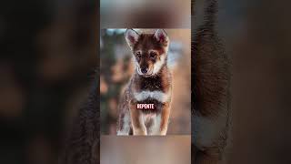 O Filhote Abandonado Virou a Lenda da Tribo