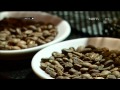 Serba Serbi Kopi NET12