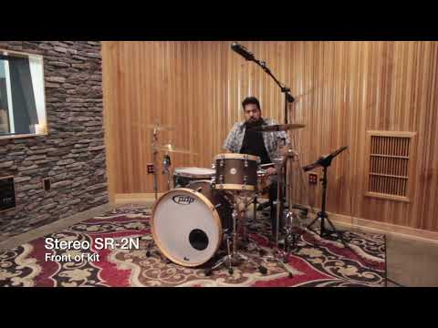 Stager Microphones Stereo SR-2N vs AEA R-88