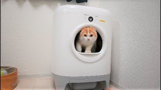 猫用自動トイレ「PET KIT」を組み立てる