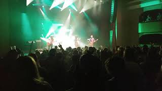 Pigeons Playing Ping Pong &quot;Kiwi&quot;