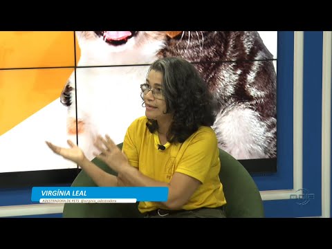 Abril Laranja endossa o combate ao abandono e violência contra animais 10 04 2023