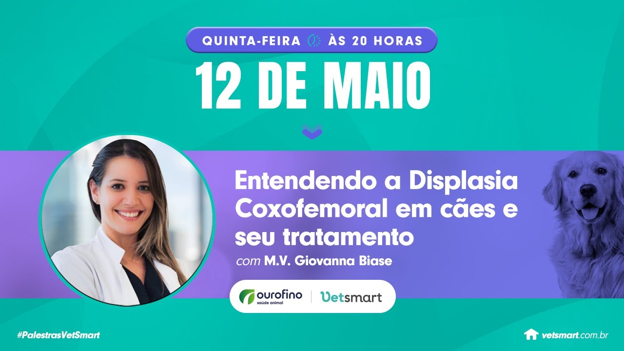 Entendendo a Displasia Coxofemoral em cães e seu tratamento
