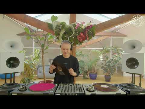 Satoshi Tomiie | themuddshow