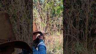 XORORÓ NO GATILHO! #javalibrasil #caçadejavali #hunt #hunting #caca #wildlife #wildanimals #wildboar