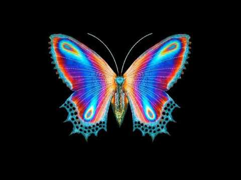 (FREE) Josman x Leto Type Beat - COULEUR ft.Dinos Type Beat | Free Type Beat 2021