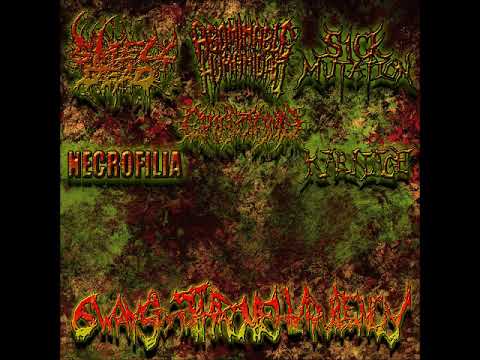 6 Ways To The Throne Of The Virulency  Album 2016