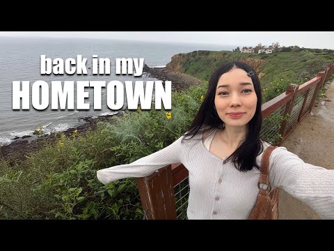 Returning to Los Angeles After Tokyo