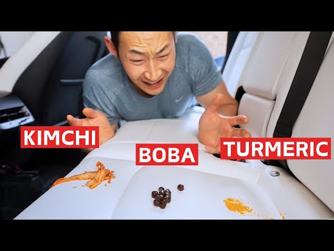 Tesla White Seats after 3 Years!! (ULTIMATE Stain Test)