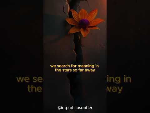 The Irony of Life, Song.