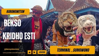 Download lagu WAROK SURUP 🔥 REOG BEKSO KRIDHO ESTI BKE SUMOWONO SPESIAL LAUNCHING MACAN LIVE TERMINAL SUMOWONO mp3