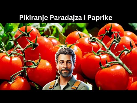 Pikiranje Paradajza i Paprike: Tajne Zdravih Sadnica!