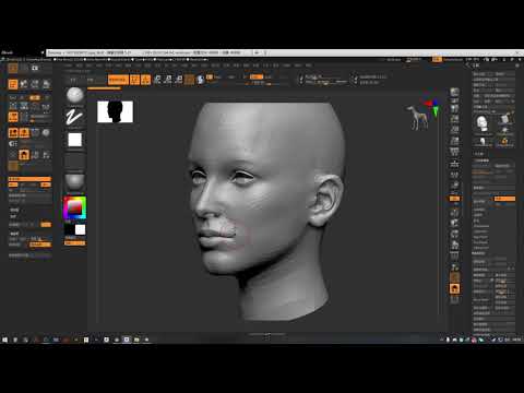 zbrush2021 5 变换里的新功能
