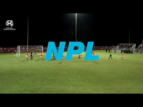 NPL Round 23 - Magpies Crusaders vs Brisbane Roar Youth Highlights