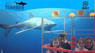 DIA 3 Expo Tiburon32