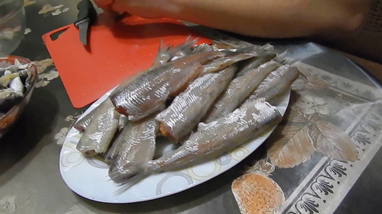 стая рыб. чавыча форель лосось. рыбалка якутия 2021. морская рыбалка bigfish. рыбалка на камчатке.