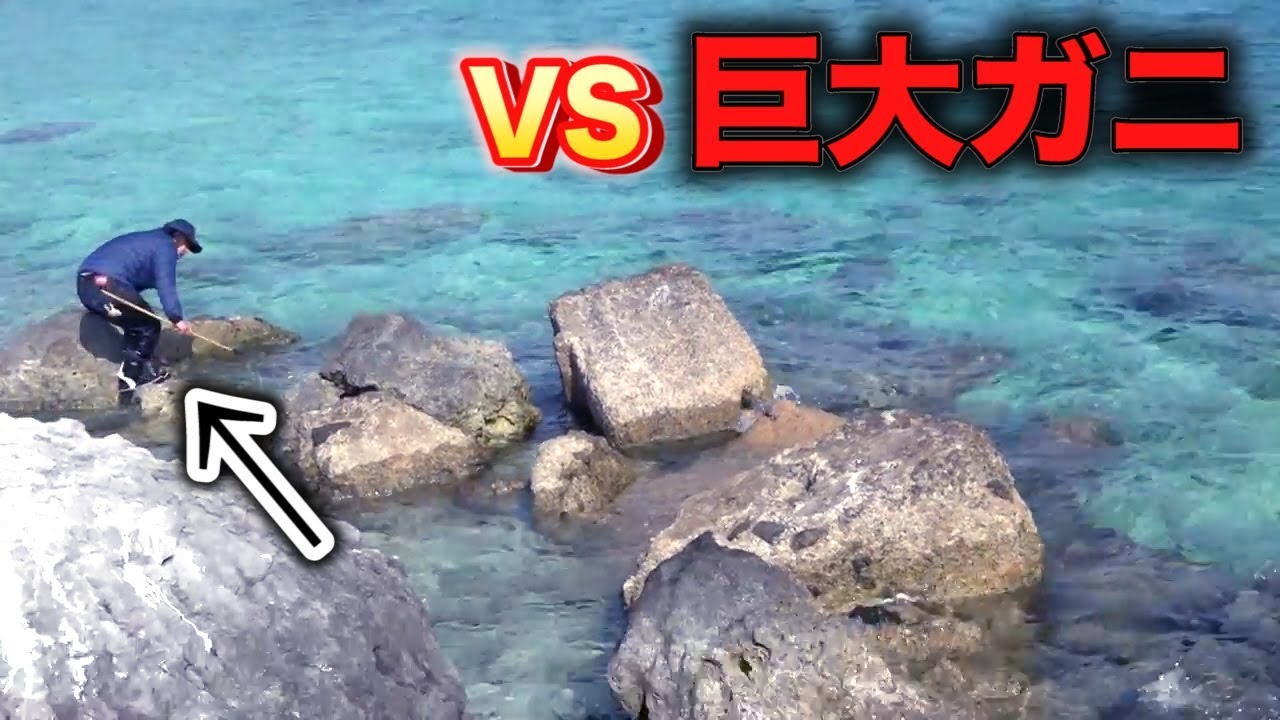 【壮絶】どうしてもモリで巨大ガニを捕獲したい！！