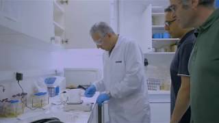 Projet RESIST - lauréat 2018 du Prix Fondation ENGIE « Talents de la recherche au Musée de l’Homme »