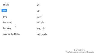 تعلم اللغة الانجليزية الدرس 55 اسماء الحيوانات بالانجليزي الجزء 3