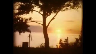 The Brian Jonestown Massacre - Bonbon