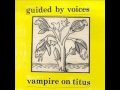 guided by voices   Perhaps now the vultures