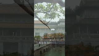 🏯 Hue Historic Citadel &ndash; Vietnam&rsquo;s Timeless Treasure ✨ #shorts