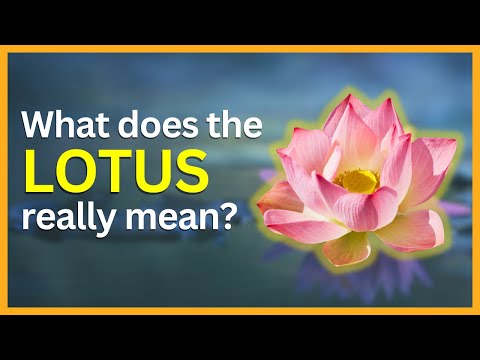 The Hidden Symbolism and Meaning of the Lotus Flower | SymbolSage
