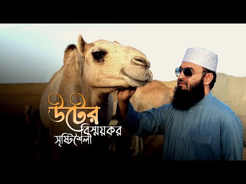 উটের বিস্ময়কর সৃষ্টিশৈলী | মিজানুর রহমান আজহারি