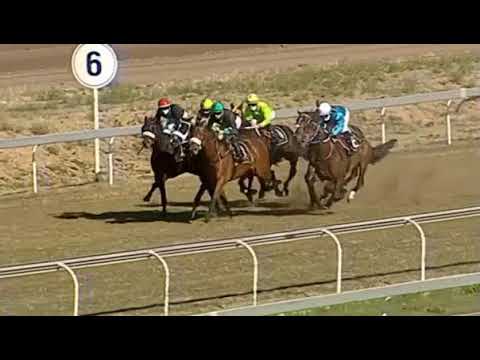 TREE TUMBO - Vaal 29 Sep