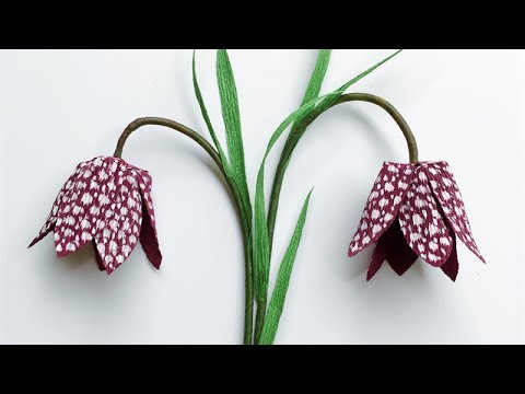 ABC TV | How To Make Snake's Head Paper Flower From Crepe Paper - Craft Tutorial