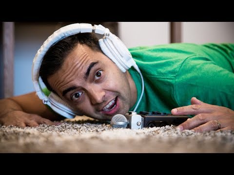 download lagu mp3 mp4 Echo Rug, download lagu Echo Rug gratis, unduh video klip Echo Rug