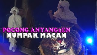 Download lagu OPENING GUYON MATON CAK PERCIL CS | 14 OKTOBER 2018 | DI KAYEN KIDUL KEDIRI mp3