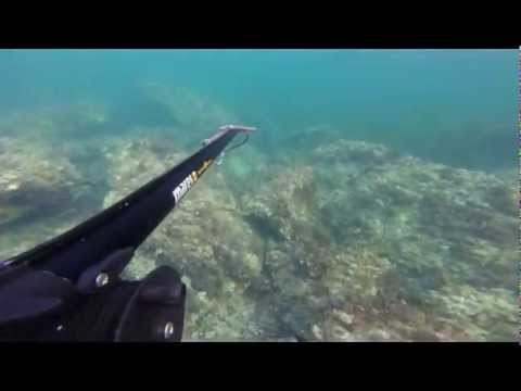 la mia prima video cattura!!