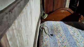 Download lagu Paglu 2 Full HD 2025 _ Dev _ Koel Mallick _ Bangla Romantic Action Movie _ Paglu Returns(1080P_HD) mp3