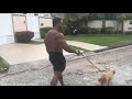 Domingo rolê com dog claritinha