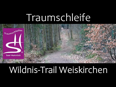 Wildnis-Trail Weiskirchen | Saar-Hunsrück Steig | Wanderung | Premiumwandern | 66709 Weiskirchen