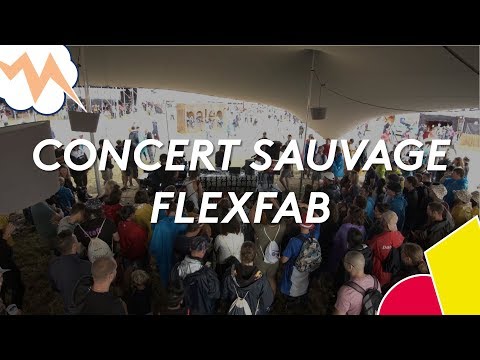 Paléo 2019 - FlexFab en concert sauvage