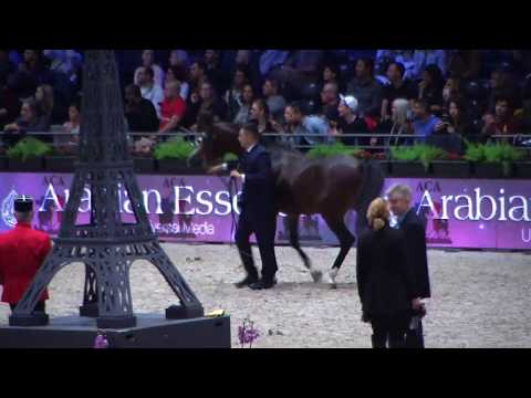 Memories of Paris 2018 - World Championships - Part 12 - Senior  Male - Group B