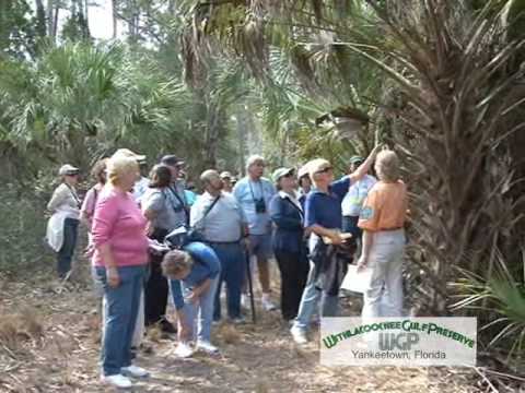 Promotional video thumbnail 1 for Nawlins Po Boyz Cajun Zydeco Carribbean