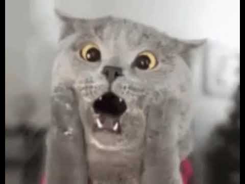 11 de diciembre de 2020