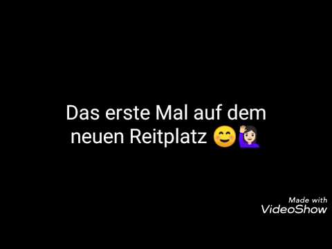 Neuer Reitplatz🐎 Longieren&Bodenarbeit | CyanaHope