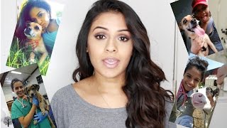 How I Got Into Veterinary School | Advice for Medical School & other Grad Programs!