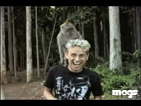 Martin L.Gore Down in the Boondocks (cover)