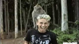 Martin L.Gore Down in the Boondocks (cover)