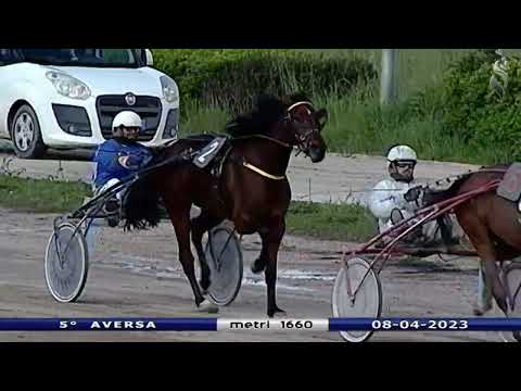 Aversa trotto 8 Aprile 2023 - 5° Corsa