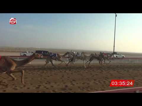  ش 6 (عوايد) لـ عبيد الرملي محمد العامري 7:45:69 ، شارة الديوان 2026/10/25 إيذاع الوقن