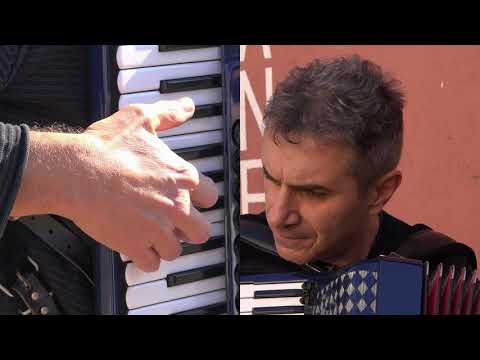 ACCORDION 🪗 "TRICOLORE" (Waltz) Stefano Linari @Musicainballo